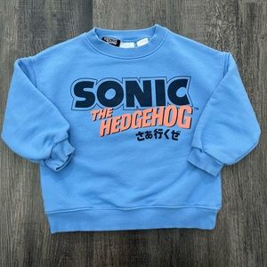 Zara Sonic Sweater